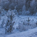 black + steel +twist grip shift gear shifter