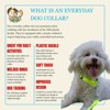 Country Brook Petz Everyday Nylon Dog Collar - 4 of 4