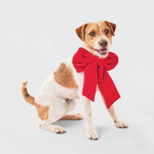 Giant Bow Collar Slide Dog Hair Accessories - Boots & Barkley™ One Size Fits Most - 1 of 3