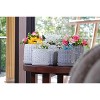SpassWay 8" Dia Outdoor Indoor Ceramic Planter Pot Decorative Planter with Drainage Hole Patio Flower Pot - 4 of 4