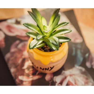 Yellow and Beige Ceramic Hunny Pot with Artificial Succulent