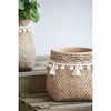 SKRAN Collection of Decorative Planters, Planter Set - Versatile Cement and Metal Planters for Indoor and Outdoor Use - 3 of 4