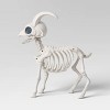 11" Goat Skeleton Halloween Decorative Prop - Hyde and EEK! Boutique™ - 3 of 3