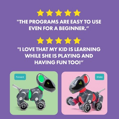 Pyxel Interactive Coding Robot Pet with Rechargeable Battery