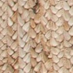 natural/ivory
