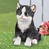 Collections Etc Sitting Kitten - 2 of 4