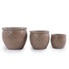 Vynxaria Modern Ceramic Flowerpot - Elegant Planter for Indoor & Outdoor Use - 3 of 4