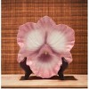 Kevins Gift Shoppe Ceramic Pink Orchid Flower Plates - Set Of 2 - image 3 of 3