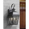 Quoizel Lighting Millhouse 2 - Light Sconce in  Mystic Black - 2 of 4