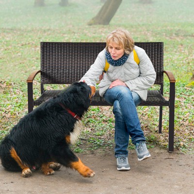 Weather-Resistant Black Wicker Loveseat with Acacia Wood Armrests
