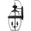 Quoizel Lighting Newbury 2 - Light Sconce in  Medici Bronze - 4 of 4