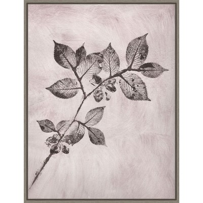 Amanti Art Elm 1 Brown by Pernille Folcarelli Canvas Wall Art Print Framed 18 x 24-in.