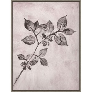 Amanti Art Elm 1 Brown by Pernille Folcarelli Canvas Wall Art Print Framed 18 x 24-in. - 1 of 4