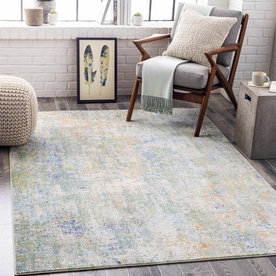 Hauteloom Lightwater Area Rug