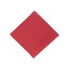 Arkwright Spun Polyester Dinner Napkins (25 Pack), 20x20 in., Solid Color Options - 2 of 4
