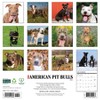Willow Creek Press 12"x12" 2026 American Pit Bull Terriers Wall Calendar - 2 of 4