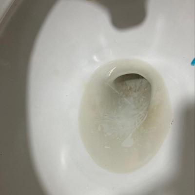 Scotch-Brite Scrub & Drop Dissolvable Toilet Bowl Cleaning System