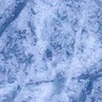 vegas golden knights