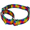 Country Brook Petz Kaleidoscope Martingale Dog Collar - image 2 of 4