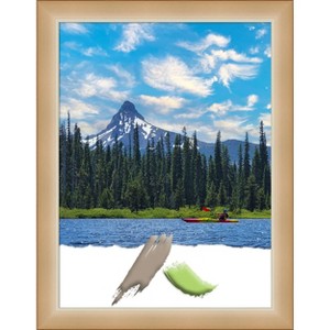 Amanti Art Eva Ombre Gold Narrow Picture Frame - 1 of 4