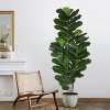 Boersma Faux Fiddle Leaf Fig Tree Artificial Ficus Tree with Tall Artificial Plants 69 Fiddle Leaves Greenery - Lifelike Fake Tree for Home - 4 of 4