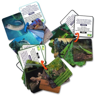 Smart Play Animal Planet 3D Creatures Flash Cards Set