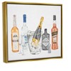Stupell Industries Various Drink Liquor Bottles Floater Canvas Wall Art - 3 of 4