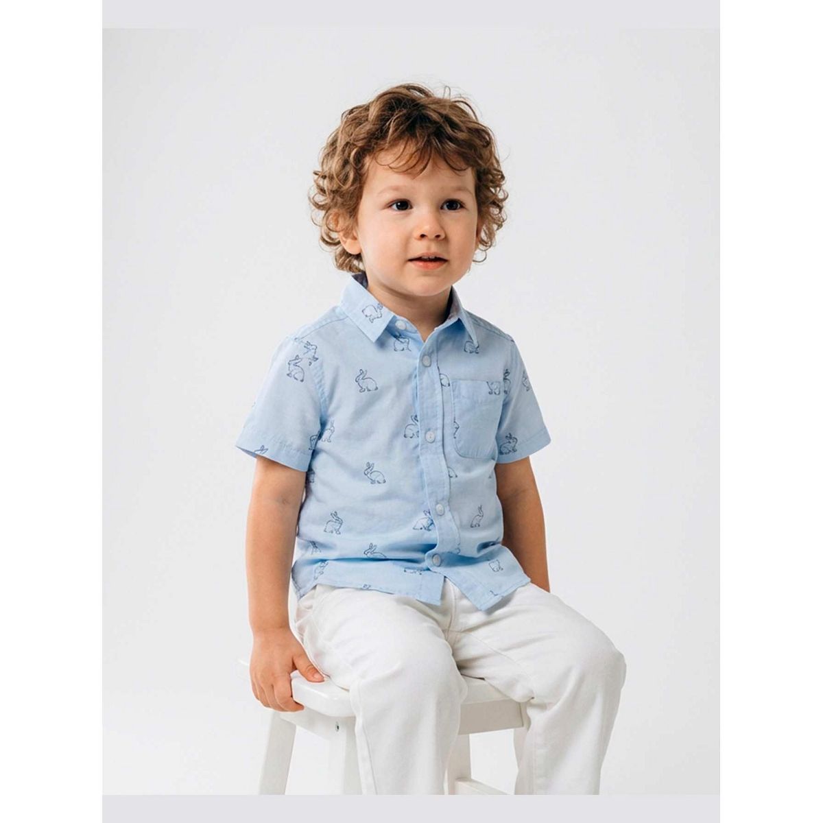 The Children's Place Toddler Boys Dad And Me Long Sleeve Bunny Poplin Button Up Shirt