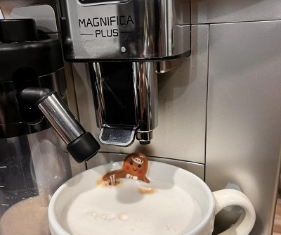 Guest review image 2 of 2, zoom in