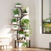 9-Tier Metal Plant Shelf, Adjustable Grow Lights Indoor Stand, Rustic Brown Multi-Layer Display Rack for Living Room Decor - Coolbibila - 3 of 4