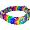 Country Brook Petz HossFit Jr Wide Premium  Dog Collar - Groovy Collection - 3 of 4