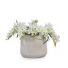 Chic Crate Set of 4 Modern Ceramic Planters with Drainage – Stylish Pots for Patio, Garden & Windowsills - 4 of 4
