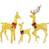Joiedomi 3 Packs Christmas Decoration Deer Family, 360 LED Lighted Rattan Reindeers Yard Lights, Christmas Outdoor Decorations for Yard Garden Lawn - 2 of 4