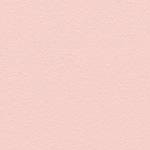 Ballet Shoes