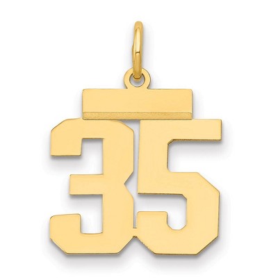 Black Bow Jewelry 14k Yellow Gold, Athletic Collection, Small Polished Number 35 Pendant