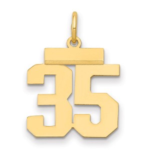 Black Bow Jewelry 14k Yellow Gold, Athletic Collection, Small Polished Number 35 Pendant - 1 of 3