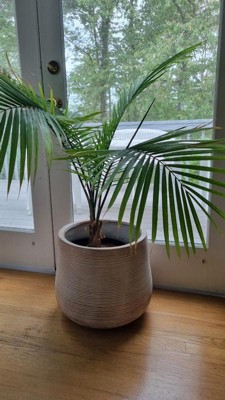 Guest review image 1 of 3, zoom in