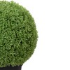 Northlight 22" Artificial Boxwood Ball Topiary in Round Pot, Unlit - 3 of 4