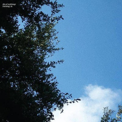 Cloud Nothings - Turning On (Vinyl)