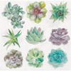 Sparkle and Bash 100 Pack Succulent Paper Napkins for Birthday Party (6.5 In) - image 4 of 4