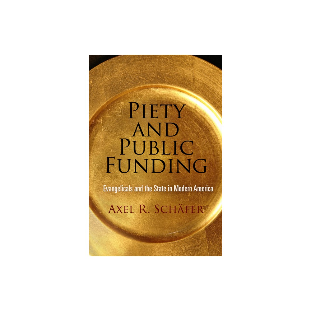 Piety and Public Funding - (Politics and Culture in Modern America) by Axel R Schfer (Hardcover)