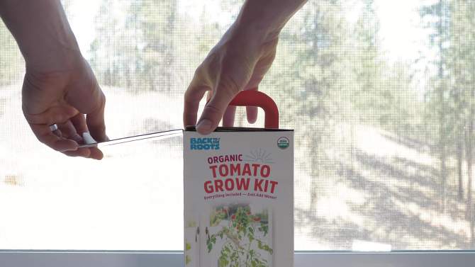 Back to the Roots Organic Tomato Grow Kit, 2 of 15, play video