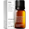 Gya Labs Coffee Essential Oil 100% Pure Natural - 2 of 4