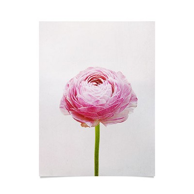 Cassia Beck Ranunculus Flower 18" x 24" Unframed Poster - Society6