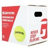 GAMMA Sports Pressureless 48pc Tennis Ball - Yellow - 2 of 4