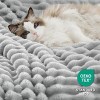 Bedsure Ultra-Plush Fleece Blanket - Warm Winter Blanket for Bed, Soft Home Decor Throw for Couch, All-Season Coziness - 4 of 4