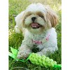 Pet Life Extreme Twist Sporty Tugging Jute and Squeak Dog Toy - 2 of 2