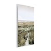 Stupell Industries Distant Shoreline Grassy Beach Path Cloudy Horizon Wall Plaque Art, 10" x 15" - 2 of 4