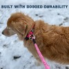 Enthusiast Gear Reflective Rope Dog Leash with Locking Carabiner for Large Medium Small Breeds and Puppy (6’ Feet) - 4 of 4