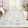 Washable Area Rug, Ultra Soft Stain-Resistant Non-Slip Modern Abstract Indoor Carpet for Living Room Bedroom Dining Room Office - 4 of 4